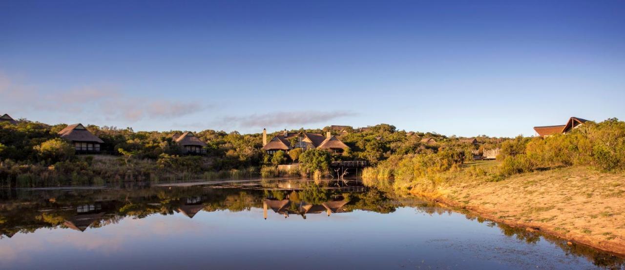 Lalibela Game Reserve - Kichaka Lodge Paterson Extérieur photo