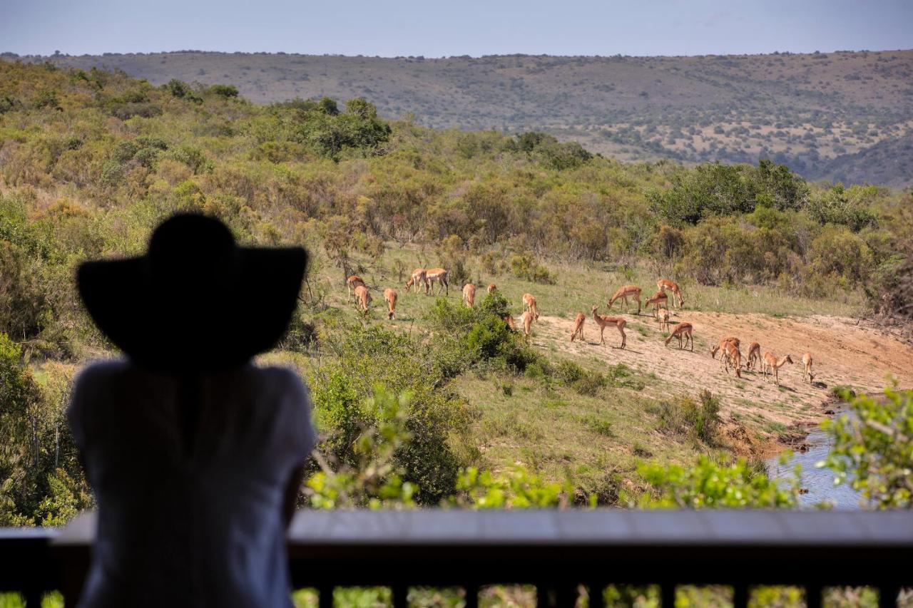 Lalibela Game Reserve - Kichaka Lodge Paterson Extérieur photo