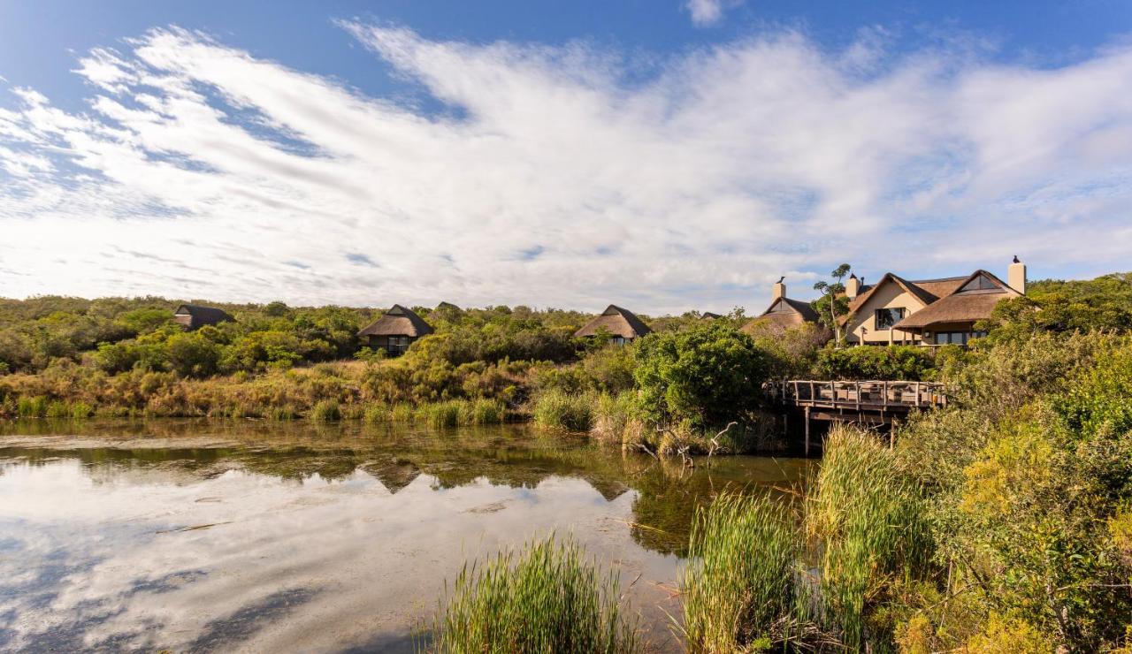Lalibela Game Reserve - Kichaka Lodge Paterson Extérieur photo
